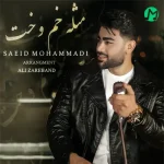 دانلود آهنگ سعید محمدی مثله خم و خت