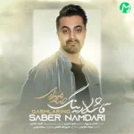 دانلود آهنگ صابر نامداری قاشلارینگ