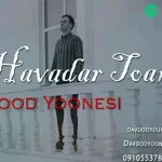 دانلود آهنگ عاشقی زنده به گورم