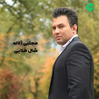 دانلود آهنگ مجتبی آلاله شال طلایی