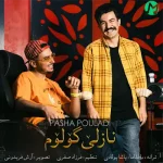 دانلود آهنگ پاشا پولادی نازلی گولوم