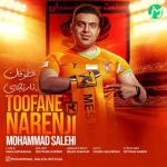 دانلود آهنگ محمد صالحی طوفان نارنجی