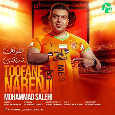 دانلود آهنگ محمد صالحی طوفان نارنجی