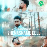 دانلود آهنگ تو شناسنامه ی دل اسمه توعه