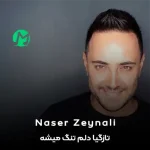 دانلود آهنگ تازگیا دلم تنگ میشه واست هوا بدون تو مثل سم میشه واسم