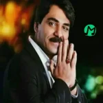 دانلود آهنگ نمیچینم گلی که خار داره دلبر ریمیکس