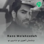 دانلود آهنگ چشمان آهوی تو جادوی تو از دل من برده قرار