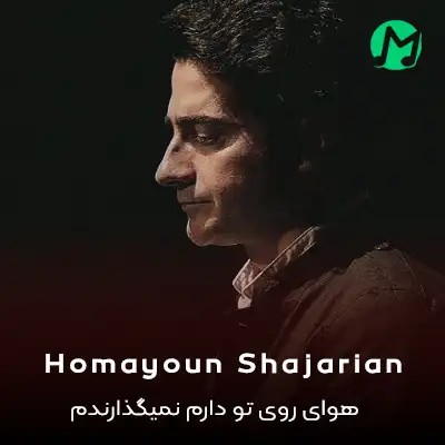 دانلود آهنگ هوای روی تو دارم نمیگذارندم