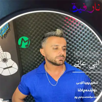 دانلود آهنگ ابی عالی نارفیق (کامل 320)