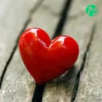دانلود آهنگ عشق یعنی یکی هست که هم صداته