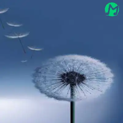 دانلود آهنگ خوشگل زیاد پیدا میشه تو دنیا