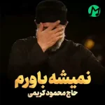 دانلود نوحه صوتی نمیشه باورم که وقت رفتنه تموم این سفر بارش رو شونه منه دانلود نوحه صوتی نمیشه باورم که وقت رفتنه تموم این سفر بارش رو شونه منه