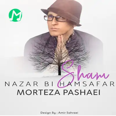 دانلود آهنگ مرتضی پاشایی نزار بی همسفر شم