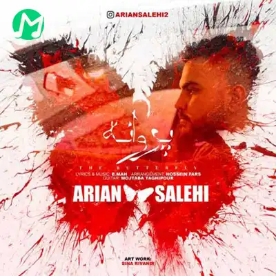 دانلود آهنگ آرین صالحی پروانه
