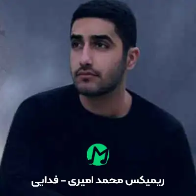 دانلود ریمیکس دیه نری فدایی دلت شده هوایی محمد امیری