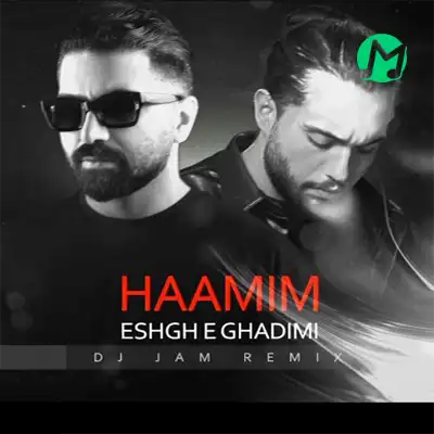 دانلود ریمیکس خداحافظت عشق قدیمی حامیم