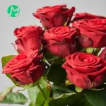 دانلود آهنگ خوش به حال او کسی که زن نداره