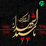 دانلود نوحه یا سید الغریب به حرمت حبیب دلتنگم