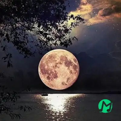 دانلود آهنگ این دلو بدون تو بگو میخوام چکار