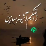 دانلود آهنگ ز دلتنگیم آشیونه بسازید + کلیپ استوری