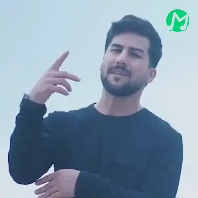 دانلود اهنگ من دل ندارم انگاری به تو گیره کارم (کامل 320)