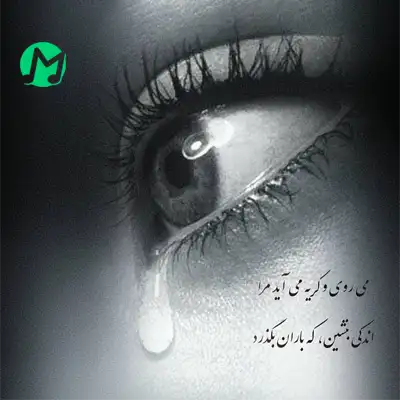 ریمیکس گریه می آید مرا همایون شجریان گریه می آید مرا ریمیکس