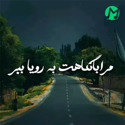 دانلود آهنگ مرا با نگاهت به رویا ببر مرا تا تماشای فردا ببر + کلیپ استوری