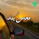 دانلود اهنگ زدم به سیم آخر و گفتم ولش کن بی خیال + ریمیکس