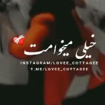 دانلود اهنگ دل من وصل توئه هواییت شدم خیلی میخوامت امیر خوشنگار