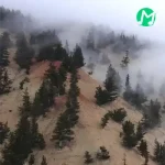 دانلود آهنگ سکوت قبل رفتنت نماندنت ندیدنت مرا به این جنون کشیده