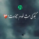 دانلود آهنگ الان دور تو آدم زیاده ولی اینا میرن از کنارت + کلیپ استوری