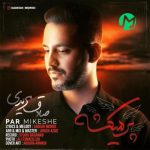 دانلود آهنگ صادق مریدی پر میکشه (کامل MP3 + متن ترانه)