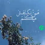 دانلود آهنگ من نگاهش میکنم او هم نگاهم میکند + کلیپ استوری