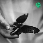 دانلود آهنگ چرا دلتنگت میشم این همه نکنه حواس تو پیشمه