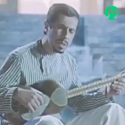 دانلود آهنگ ببخش بانوی قصه این دل جوونی کرده + کلیپ استوری