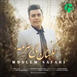 دانلود آهنگ تو قنی من قندانم تو پیاله من اسکانم + کلیپ استوری