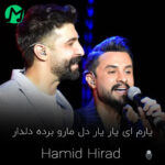 دانلود آهنگ یارم ای یار یار دل مارو برده دلدار راغب و حمید هیراد