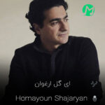 دانلود کامل اهنگ ای گل ارغوان همچو سرو چمان + کلیپ استوری