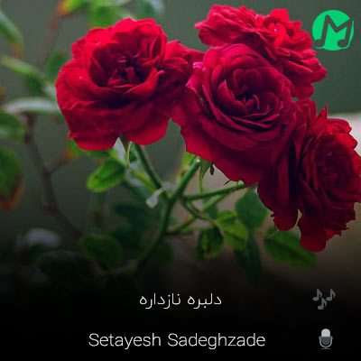 دانلود آهنگ ایوار بویه وره وره یاره من ستایش صادق زاده