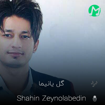 دانلود آهنگ شاهین زین العابدین زاده گل یانیما