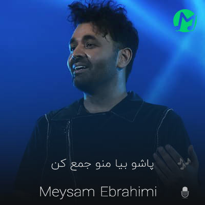 دانلود کامل آهنگ پاشو بیا منو جمع کن سیاه سفیدمو رنگ کن میثم ابراهیمی