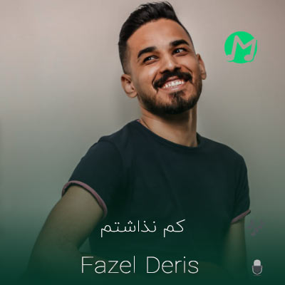 دانلود آهنگ فاضل دریس کم نذاشتم (کیفیت عالی 320)