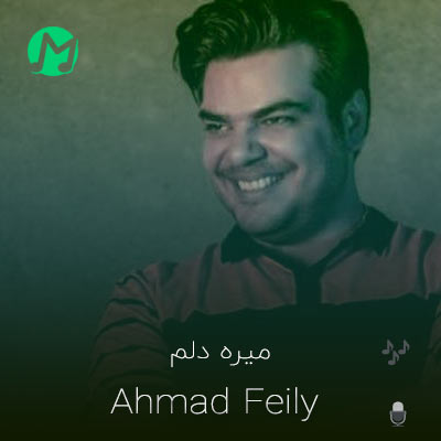 دانلود آهنگ میره دلم وقتی بهم تو زل میزنی (بهترین کیفیت Mp3)