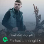 دانلود آهنگ دلم برات تنگ شده قلب تو از سنگ شده (فرهاد جهانگیری)