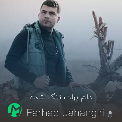 موزیک جدید فرهاد جهانگیری بنام دلم برات تنگ شده دانلود آهنگ دلم برات تنگ شده قلب تو از سنگ شده (فرهاد جهانگیری)