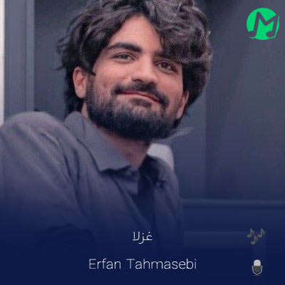 دانلود آهنگ اگه شاعر بودم خودمو تو غزلا جا میذاشتم (کیفیت اصلی)