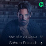 دانلود آهنگ میدونی من حرفم حرفه الکی نمیرم طفره سهراب پاکزاد