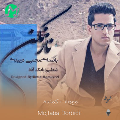 دانلود آهنگ ای دلبرم قدت بلنده چشات سیاهو موهات کمنده (مجتبی دربیدی)