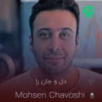 دانلود آهنگ مروح کن دل و جان را دل تنگ پریشان را + ریمیکس