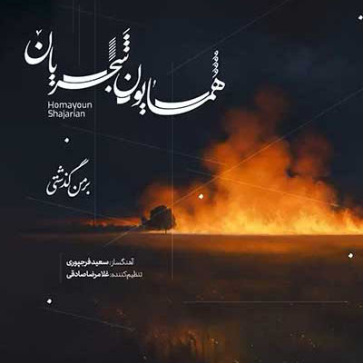 دانلود آهنگ بر من گذشتی سر بر نکردی شجریان + متن کامل